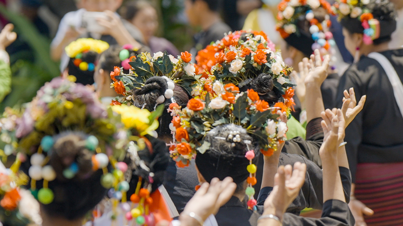 Ancient_Tea_Forests_Unite_Five_Ethnic_Groups_on_Jingmai_Mountain - My Global News: Voices of a New Era Ancient_Tea_Forests_Unite_Five_Ethnic_Groups_on_Jingmai_Mountain