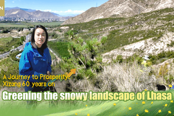 Lhasa’s Greening Revolution: Millions of Trees at 4,000m Lhasa’s Greening Revolution: Millions of Trees at 4,000m video poster