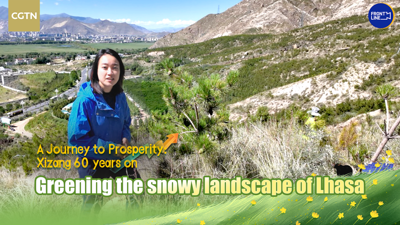 Lhasa’s Greening Revolution: Millions of Trees at 4,000m video poster