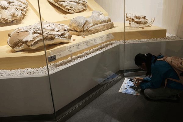 Beijing Unveils High-Tech Plan to Digitize and Preserve Ancient Relics by 2035 Beijing_Unveils_High_Tech_Plan_to_Digitize_and_Preserve_Ancient_Relics_by_2035