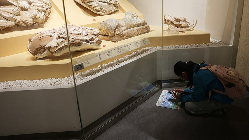 Beijing_Unveils_High_Tech_Plan_to_Digitize_and_Preserve_Ancient_Relics_by_2035 - My Global News: Voices of a New Era Beijing_Unveils_High_Tech_Plan_to_Digitize_and_Preserve_Ancient_Relics_by_2035