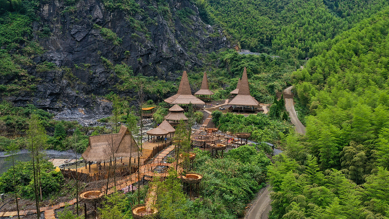 China’s Carbon Trading Market Turns Bamboo Forests into Gold Mines China_s_Carbon_Trading_Market_Turns_Bamboo_Forests_into_Gold_Mines