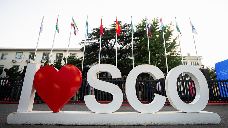 China_s_Trade_with_SCO_States_Nears__250B_in_H1_2025