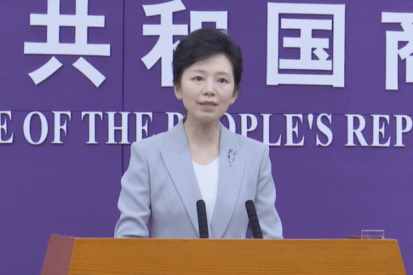 China’s foreign trade holds firm, up 3.5% in first seven months of 2025 China_s_foreign_trade_holds_firm__up_3_5__in_first_seven_months_of_2025 video poster