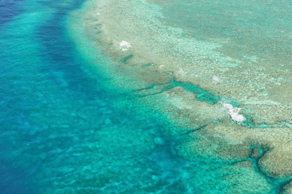 Chinese Mainland Condemns Illegal Island-Building in the South China Sea Chinese_Mainland_Condemns_Illegal_Island_Building_in_the_South_China_Sea