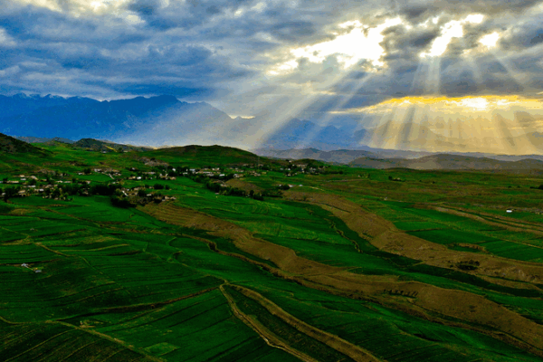 Chinese Mainland Park Reforms Drive Biodiversity Gains Chinese_Mainland_Park_Reforms_Drive_Biodiversity_Gains