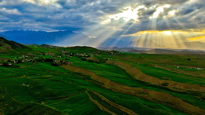 Chinese_Mainland_Park_Reforms_Drive_Biodiversity_Gains