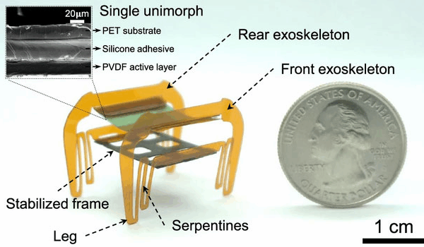 Chinese Researchers Develop Resilient ‘Electronic Cockroach’ Microbot Chinese_Researchers_Develop_Resilient__Electronic_Cockroach__Microbot