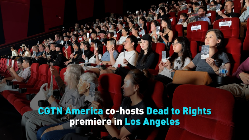 Dead_to_Rights_Premiere_Brings_Nanjing_Massacre_to_North_America video poster