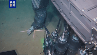 Deep-Sea Explorer Haiqin Completes Successful South China Sea Trial Deep_Sea_Explorer_Haiqin_Completes_Successful_South_China_Sea_Trial