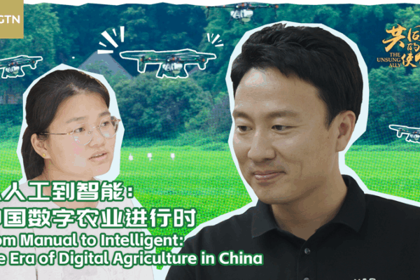 Drones Take Flight: The Rise of Digital Farming in the Chinese Mainland Drones_Take_Flight__The_Rise_of_Digital_Farming_in_the_Chinese_Mainland video poster