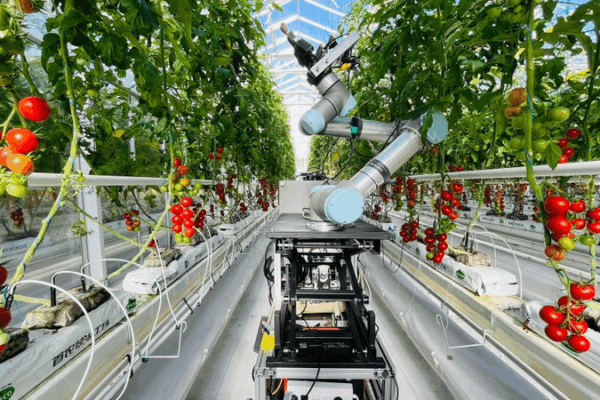 AI-Powered GEAIR: The World’s First Full-Process Breeding Robot AI-Powered GEAIR: The World’s First Full-Process Breeding Robot
