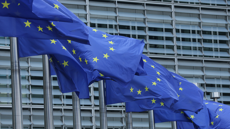 EU’s New US Tariff Deal: Slim Gains, Big Risks for Germany EU_s_New_US_Tariff_Deal__Slim_Gains__Big_Risks_for_Germany