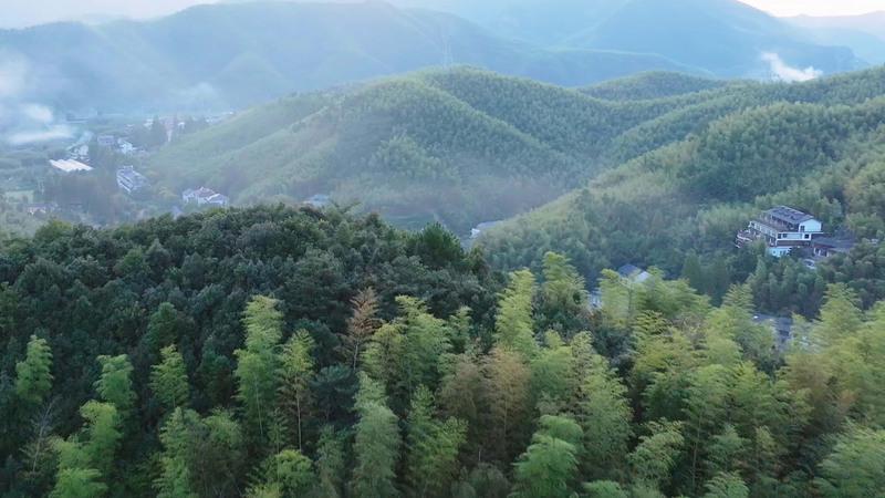 Escape_to_Moganshan__The_Hamptons_of_the_Chinese_mainland video poster