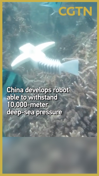 Fish_Inspired_Robot_Survives_10_000m_Deep_Sea_Pressure video poster