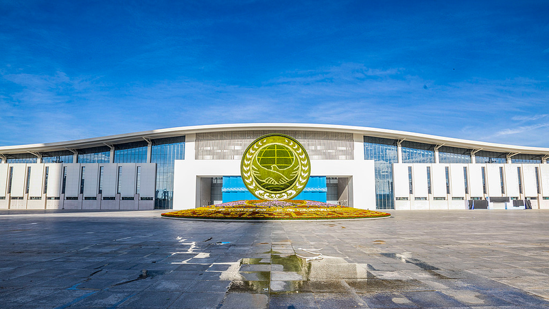 Floral_Welcome_Lights_Up_SCO_Summit_in_Tianjin