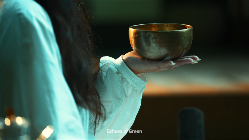 Forest_Therapy__Gen_Z_s_Healing_Retreat_in_Anji__Zhejiang_poster - My Global News: Voices of a New Era Forest_Therapy__Gen_Z_s_Healing_Retreat_in_Anji__Zhejiang video poster