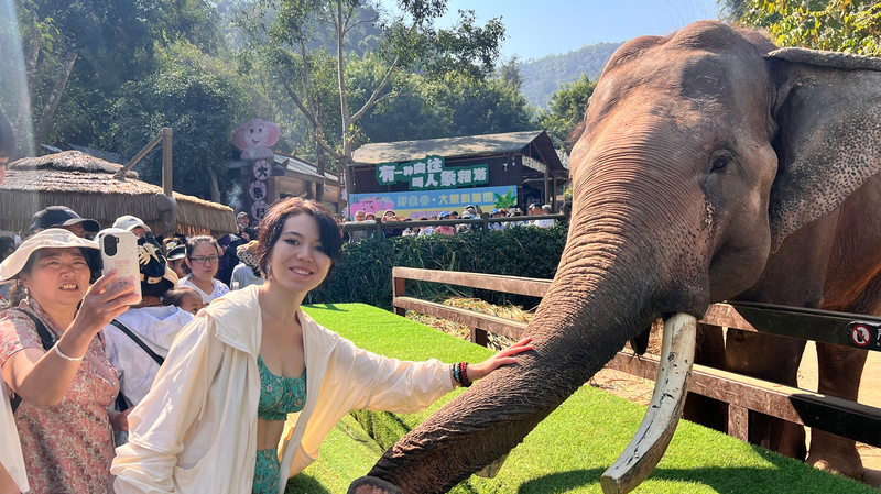 Forest Whispers and Elephant Encounters Across the Chinese Mainland Forest_Whispers_and_Elephant_Encounters_Across_the_Chinese_Mainland