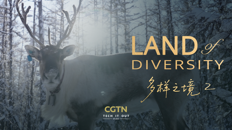 Frozen Frontiers: The Evenki and Their Reindeer Legacy Frozen_Frontiers__The_Evenki_and_Their_Reindeer_Legacy video poster