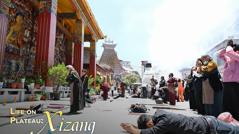 GI9M19SQR0XMVJBG0UR0 - My Global News: Voices of a New Era Life on the Roof of the World: Exploring Xizang’s Culture and Landscapes
