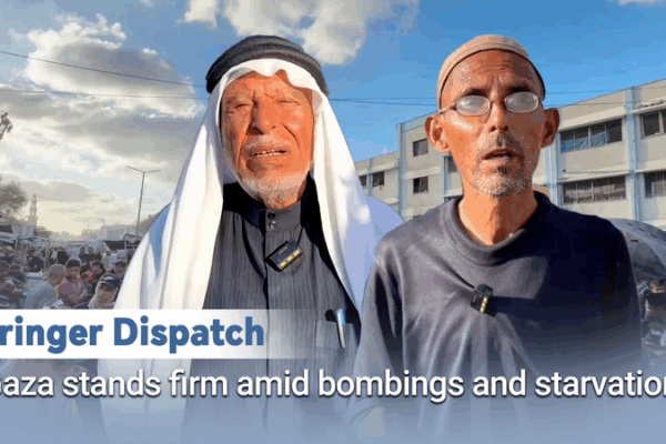 Gaza Stands Tall: Stories of Resilience Under Siege Gaza_Stands_Tall__Stories_of_Resilience_Under_Siege video poster