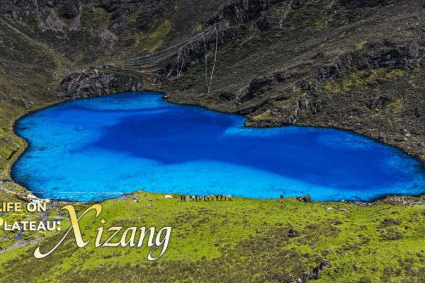 Gurula Co: Xizang’s Heart-Shaped Lake Goes Viral as Eco-Travel Icon Gurula_Co__Xizang_s_Heart_Shaped_Lake_Goes_Viral_as_Eco_Travel_Icon