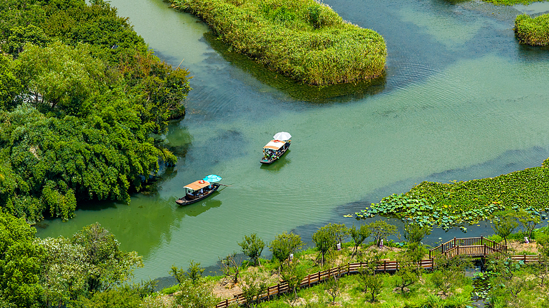 Find Serenity at Hangzhou’s Xixi National Wetland Park video poster