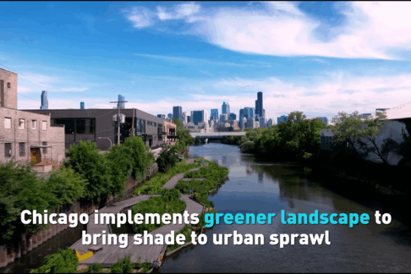 How Chicago’s Green Makeover Is Cooling Its Concrete Jungle How Chicago’s Green Makeover Is Cooling Its Concrete Jungle video poster