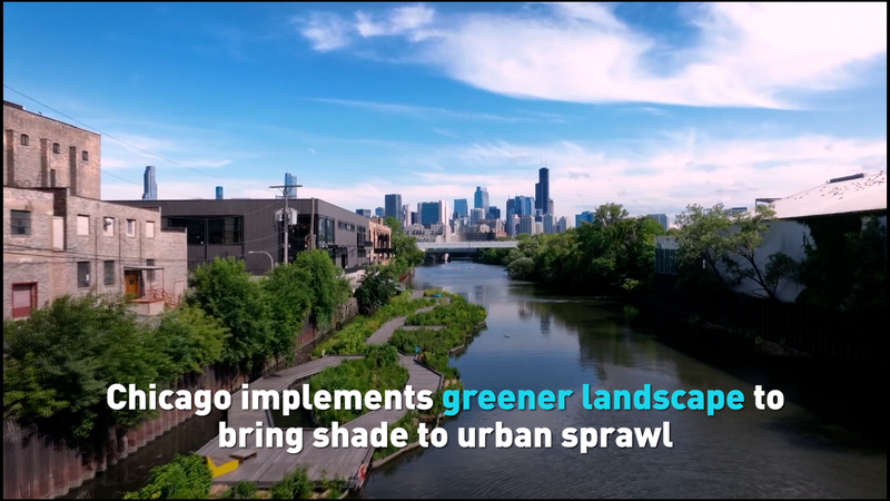 How Chicago’s Green Makeover Is Cooling Its Concrete Jungle video poster