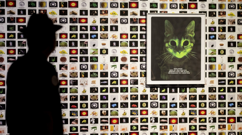 Harmony in Flux: Art, Nature & Tech Converge at Tsinghua Harmony_in_Flux__Art__Nature___Tech_Converge_at_Tsinghua