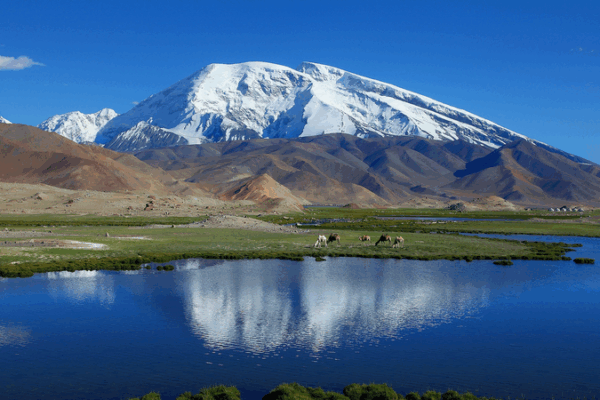 High-Pamir Expedition: Chinese Mainland and Tajik Scientists Unite to Protect Marco Polo Sheep High_Pamir_Expedition__Chinese_Mainland_and_Tajik_Scientists_Unite_to_Protect_Marco_Polo_Sheep
