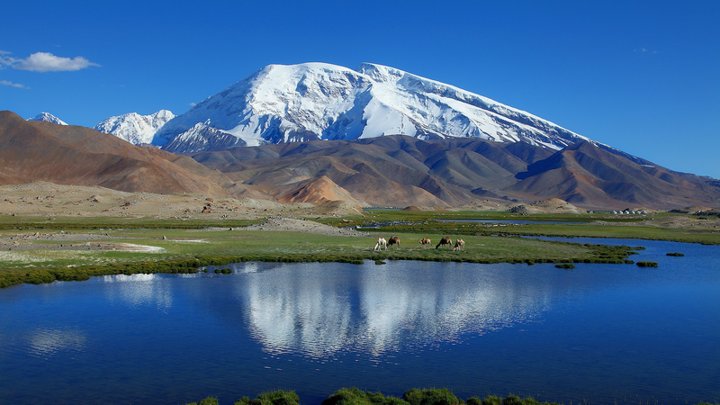 High_Pamir_Expedition__Chinese_Mainland_and_Tajik_Scientists_Unite_to_Protect_Marco_Polo_Sheep - My Global News: Voices of a New Era High_Pamir_Expedition__Chinese_Mainland_and_Tajik_Scientists_Unite_to_Protect_Marco_Polo_Sheep
