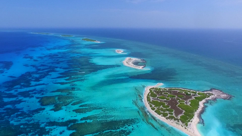 How_the_U_S__Uses__Freedom_of_Navigation__to_Enforce_Its_Own_Maritime_Rules