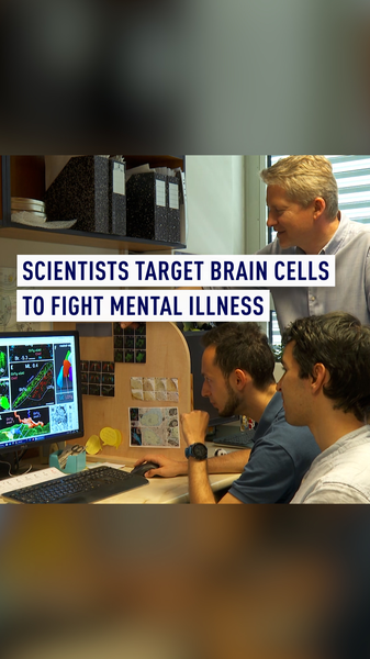 Hungarian Scientists Pinpoint Brain Cells to Tackle Depression Hungarian_Scientists_Pinpoint_Brain_Cells_to_Tackle_Depression video poster