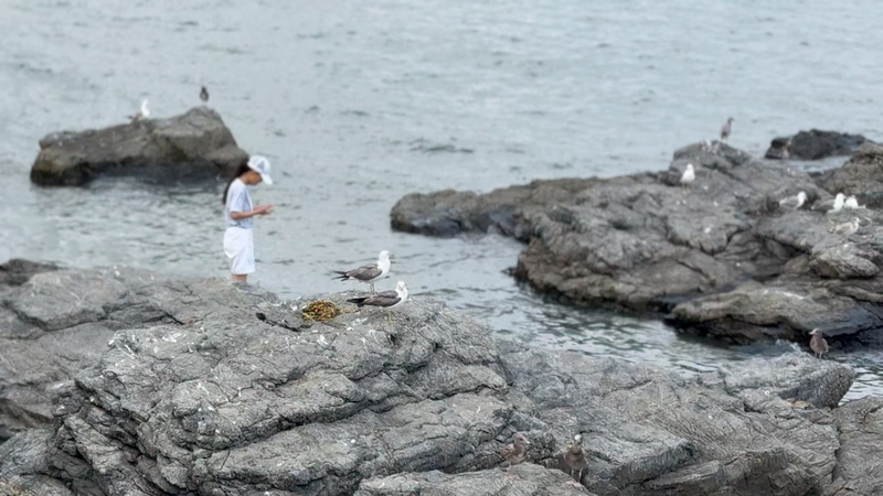 IJRL7HNULN6T6M399GPO - My Global News: Voices of a New Era China’s Marine Economy Rides a 5.8% Growth Wave in H1 2025