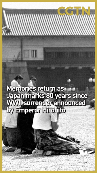 Japan_Marks_80th_Anniversary_of_WWII_Surrender__Voices_from_a_Generation video poster