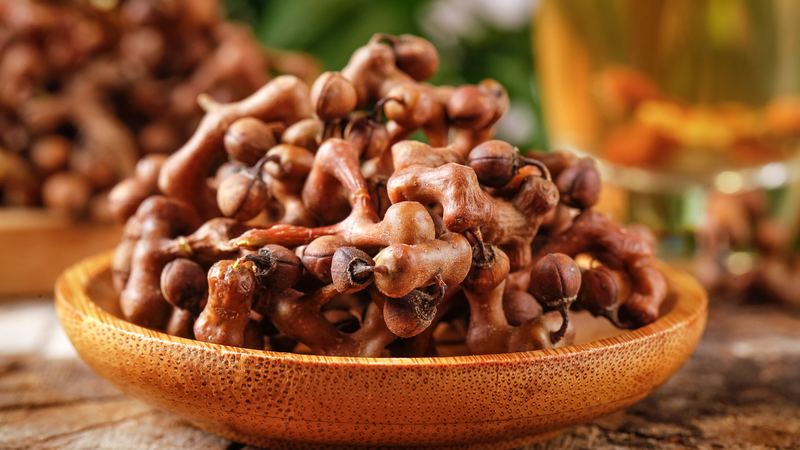 L5F0W5IVGVVYPDUMJGK5 - My Global News: Voices of a New Era China’s 'Two Mountains' Vision: Turning Ecology into Prosperity