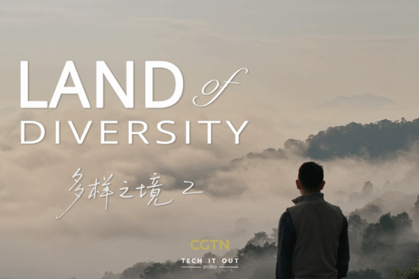 Land of Diversity II: A Journey Through Humans and the Biosphere Land_of_Diversity_II__A_Journey_Through_Humans_and_the_Biosphere video poster