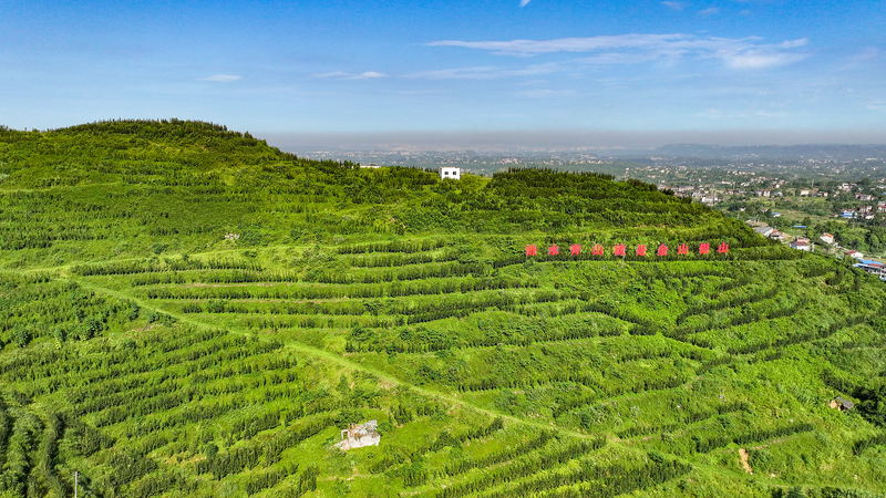 Li Qiang champions ‘Lucid Waters and Lush Mountains’ for Ecological Civilization Li_Qiang_champions__Lucid_Waters_and_Lush_Mountains__for_Ecological_Civilization