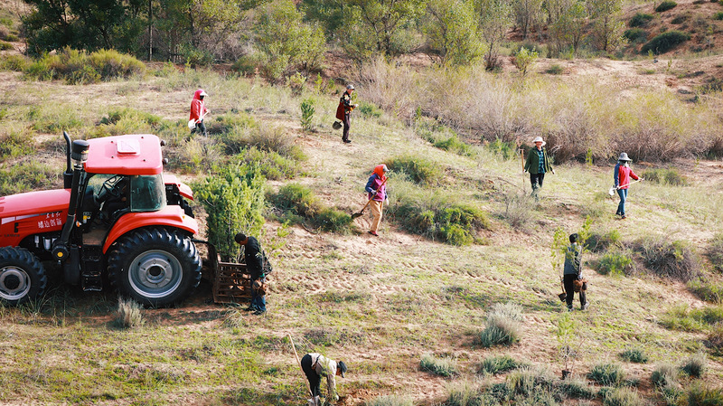 Local_Heroes_Turn_3_000_Hectares_of_Mu_Us_Desert_Green - My Global News: Voices of a New Era Local_Heroes_Turn_3_000_Hectares_of_Mu_Us_Desert_Green