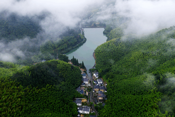 Luhuadang: A Summer Sanctuary in Mogan Mountain Luhuadang__A_Summer_Sanctuary_in_Mogan_Mountain video poster