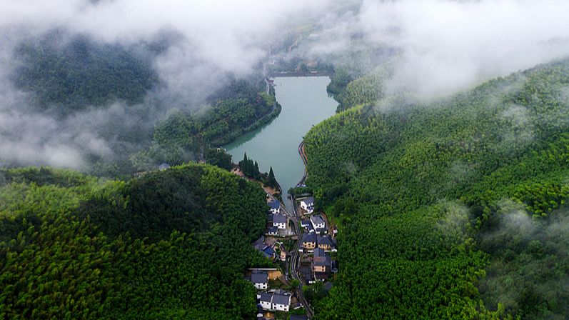 Luhuadang__A_Summer_Sanctuary_in_Mogan_Mountain video poster