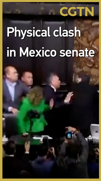 Mexico Senate Brawl Erupts Over U.S. Intervention Debate Mexico_Senate_Brawl_Erupts_Over_U_S__Intervention_Debate video poster