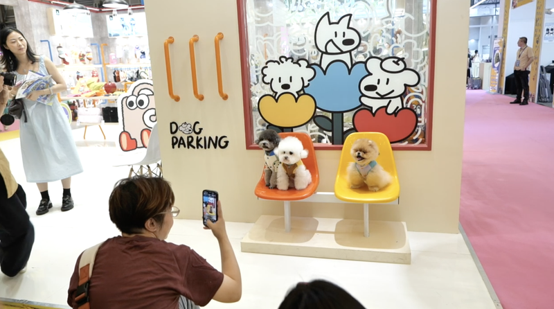 Pet Fair Asia 2025: Shanghai’s Fluffiest Pet Fest Sets New Records Pet Fair Asia 2025: Shanghai’s Fluffiest Pet Fest Sets New Records video poster