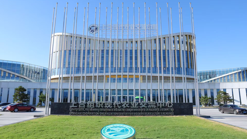 QH8EDL9PHPJO6MPD1ZPX - My Global News: Voices of a New Era Yangling: SCO’s New Agri-Tech Hub