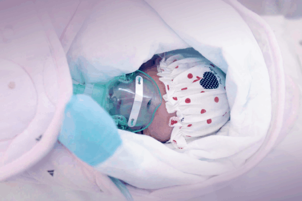 Fragile Beginnings on the Tibetan Plateau: One Mother and Newborn’s High-Altitude Survival Fragile Beginnings on the Tibetan Plateau: One Mother and Newborn’s High-Altitude Survival video poster