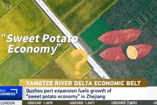 Quzhou Cultivates Growth with Sweet Potato Economy Boom Quzhou_Cultivates_Growth_with_Sweet_Potato_Economy_Boom video poster