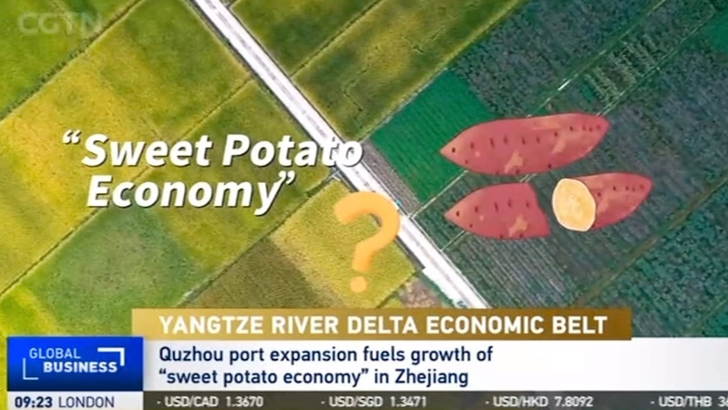 Quzhou_Cultivates_Growth_with_Sweet_Potato_Economy_Boom video poster