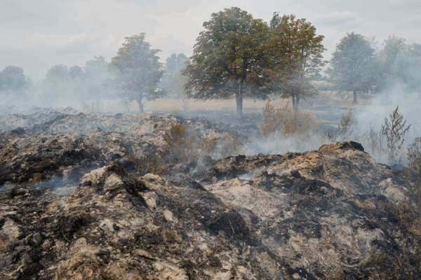 Russian Forces Push Further in Donetsk as South Africa Urges Peace Talks Russian_Forces_Push_Further_in_Donetsk_as_South_Africa_Urges_Peace_Talks