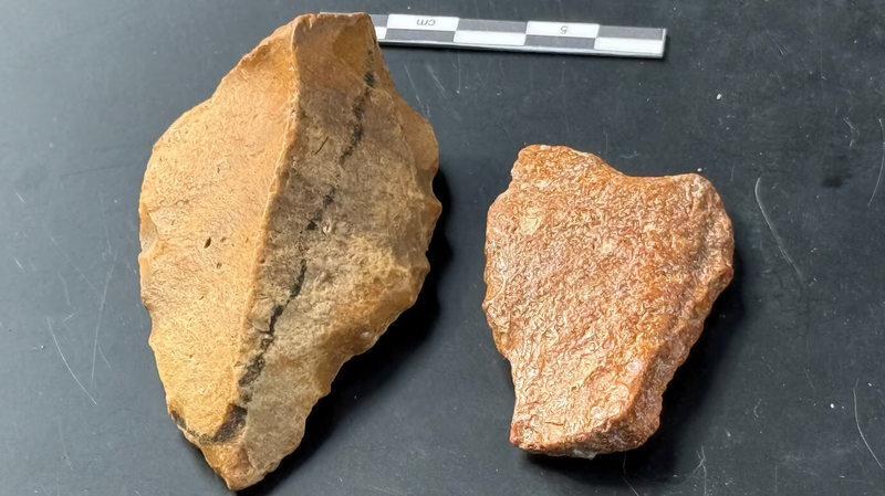 Scientists Unearth Possible Artefacts of Oldest Prehistoric Humans in Indonesia Scientists_Unearth_Possible_Artefacts_of_Oldest_Prehistoric_Humans_in_Indonesia